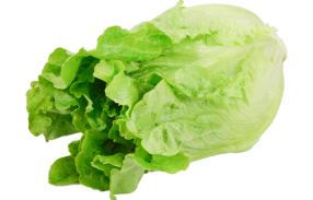 کاهو
