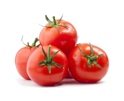 گوجه فرنگی تازه