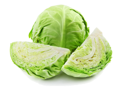 کلم سبز