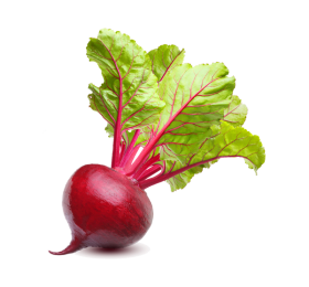 تربچه