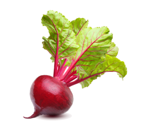 تربچه